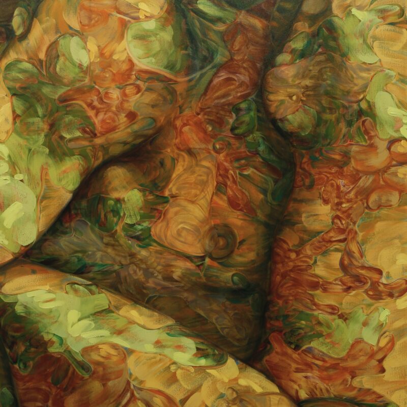Embrace 3